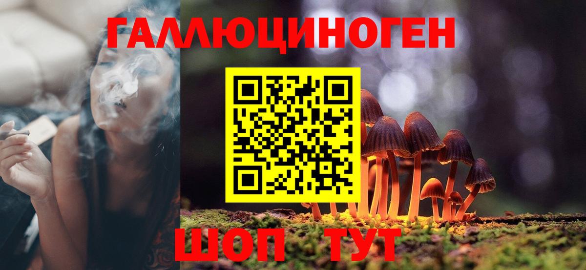 Ижевск  Псилоцибиновые грибы прущие грибы  Вход с VPN 